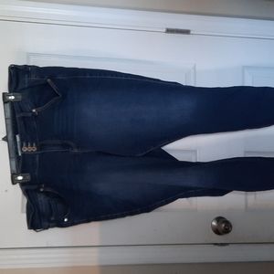 Torrid Jeggings 24R